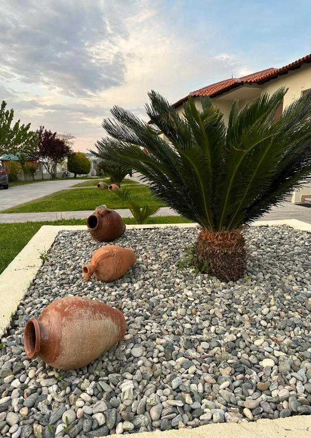 Zinozis Beach Apartments Vourvourou Bagian luar foto